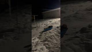 Night Sledding sledding snow [upl. by Krusche]