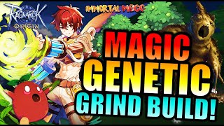 MDMG GENETIC 4SPOT GRIND BUILD  RAGNAROK ORIGIN [upl. by Paff737]