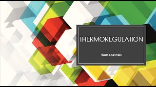 Thermoregulation in animalsthermoregulation in cold season endotherm heterotherm ectotherm [upl. by Ahsenauj825]