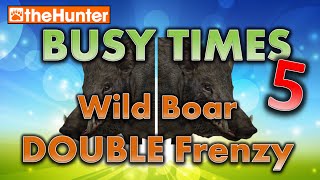 Busy Times 5 uncut  Wild Boar DOUBLE Frenzy  theHunter Classic [upl. by Palgrave]