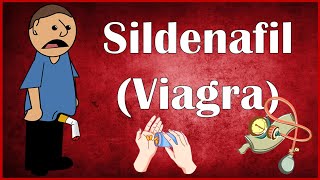 Sildenafil Viagra  Uses Dosage Mechanism Of Action Pharmacokinetics amp Adverse Effects [upl. by Verda]