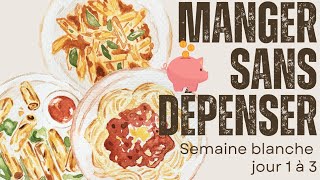 Semaine blanche zéro courses on mange avec ce quon a 2 adultes et un enfant [upl. by Haidabez]