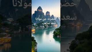 short clip motivation speech love quotes saad [upl. by Einaej494]