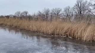 Schaatsen op de Ankeveense Plassen 11012024 [upl. by Bortman]