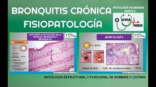 EPOC BRONQUITIS CRÓNICA FISIOPATOLOGÍA  GuiaMed [upl. by Hudnut]