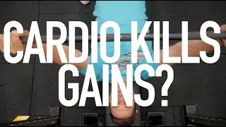 Does Cardio Kill Gains [upl. by Eahsed]