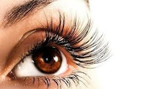 3 दिन मे पलकों को घना बनाने के अचूक घरेलु उपाय  Grow your eyelashes amp eyebrows in just 3 days [upl. by Eenar364]