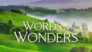 WORDS OF WONDERS  WOW   91 9293949596979899  bölümler çözümü [upl. by Portland]