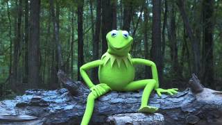 Kermit the Frog Takes the ALS Ice Bucket Challenge  The Muppets [upl. by Enelrac]