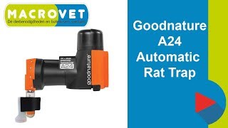 Goodnature a24 trap automatische ratten amp muizenval [upl. by Adnert441]