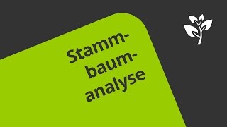 Beispiel zur Stammbaumanalyse  Biologie  Genetik [upl. by Sigmund]