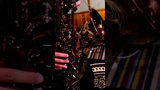 Ishimori Woodstone Tenor New Vintage  Phet Sax [upl. by Oiramat132]