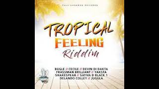 Tropical Feelings Riddim Mix  Rubb a Dube Sound [upl. by Parrnell]