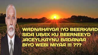 kabanle  Maxamuud m xasan kabanle heestii Jaceylkaynu badanaa Biyo webi miyaa  maxamed yare hees [upl. by Ykvir]