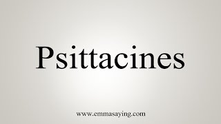 How To Say Psittacines [upl. by Kiker665]