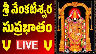 LIVE Sri Venkateswara Suprabhatam  Venkateswara Swamy Devotional Song [upl. by Scheider294]