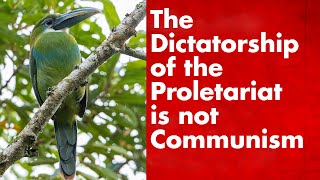 The Dictatorship of the Proletariat and the Lower Phase Of Communism [upl. by Aerdna]