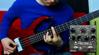 Ventris Bass Solo  Ventris Dual Reverb [upl. by Ycniuqal359]