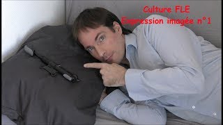 【Culture FLE】 Expression imagée n°1 [upl. by Button]