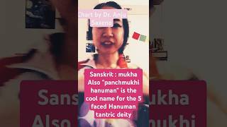 booktube kinnauri polysemy linguistics tibetanlanguage 嘴脸 ft Dr Anju saxena [upl. by Alletse448]