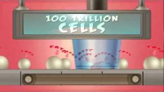 ChemMatters  Digestion The Incredible Disassembly Line [upl. by Eaton122]