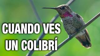 ¿Qué SIGNIFICA cuando VES un COLIBRÍ Significado y simbolismo [upl. by Rorke]