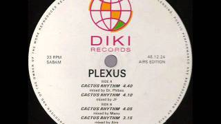 Plexus  Cactus Rhythm Mixed by Mike Ferlin 1991 Vocal [upl. by Nawotna]