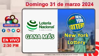 Lotería Nacional Gana Más y New York Lottery en VIVO │Domingo 31 de marzo 2024 – 230 PM [upl. by Assyral]