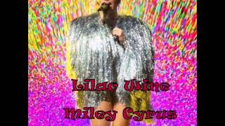 Miley Cyrus  Lilac Wine Live Bangerz Tour In Melbourne [upl. by Boutis]