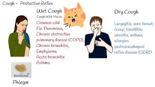 Types of cough dry and wet cough Common causes of different cough [upl. by Somar]