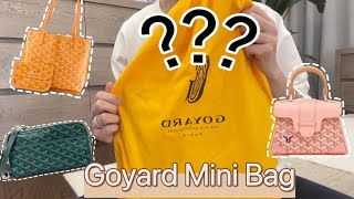 Unboxing Goyard Mini Anjou Tote Reversible What Fits  Mod Shots [upl. by Stryker572]