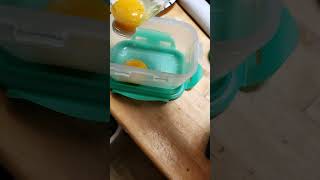 Easy way to get egg yolks out of egg whites baking shorts [upl. by Ainnek]