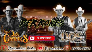 Mix de Corridos Los Dos Carnales y Los Dos de Tamaulipas🔥🔥🔥 Dj ezkandalozo [upl. by Trocki902]