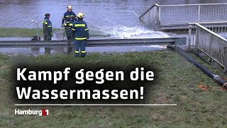 Alte Süderelbe bei Finkenwerder Feuerwehr kämpft gegen die Wassermassen [upl. by Aeneg588]