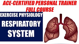 ACE Certified Personal Trainer Course BASICS  Respiratory System  ACSM  CPT7 HINDI [upl. by Ettegroeg]