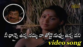 నీ ధాన్నై ఉన్న నమ్మి నా తోడై నువ్వు ఉన్న వని  athma bandhuvu  telugu video songs telugusongs [upl. by Ellehsat]