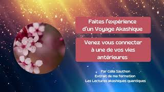 Lecture akashique  Expérience de vie antérieure à haut potentiel [upl. by Yeldahc583]