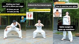 How To Exercise Your Spine  Shaking your head and tail to relieve your anger  Martial Arts Taichi [upl. by Vange]