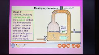 B7 Mycoprotein TRIPLE [upl. by Yrred323]