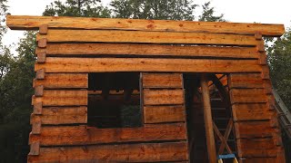 Top Plates Dovetail Log Cabin Build Ep 35 [upl. by Ispep248]