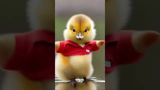 batakh dance video 🦆😂 shorts trending [upl. by Terrijo141]