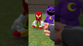 SHIN SONIC TAPES VS SMILING CRITTERS POPPY PLAYTIME SIZE COMPARISON in Garrys Mod [upl. by Ahselrak]