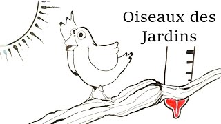 Oiseaux des Jardins [upl. by Loftis304]