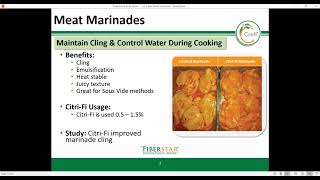 CitriFi® in Meat amp Poultry Brief Overview [upl. by Tijnar813]