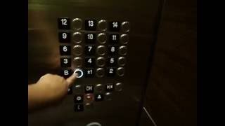 Kone MRL Elevators at Hyatt Regency Galleria Hotel [upl. by Nauquf]