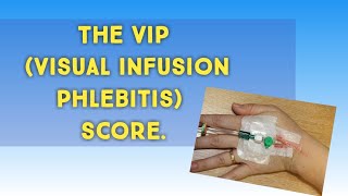 VIP score  visual infusion phlebitis score size of cannula and color code [upl. by Tnilk]