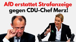 AFD STELLT ANZEIGE GEGEN MERZ Wie reagiert die CDU [upl. by Qifahs]