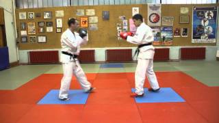 Nanbudo kumite 15  INF [upl. by Hermie568]