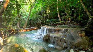 10 Hours Small Waterfall in the forest Relaxing Nature Sounds Waterfall White Noise for Sleeping [upl. by Kannan]