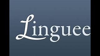 O Site Tradutor De Idiomas Linguee [upl. by Pacheco]